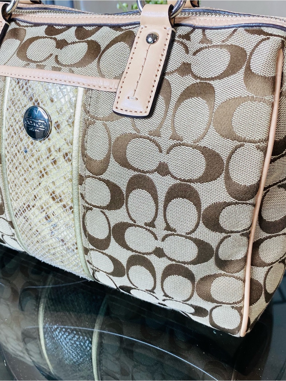 COACH Signature Khaki Jacquard Python Stripe Satchel Handbag F24884 - Picture 9 of 13